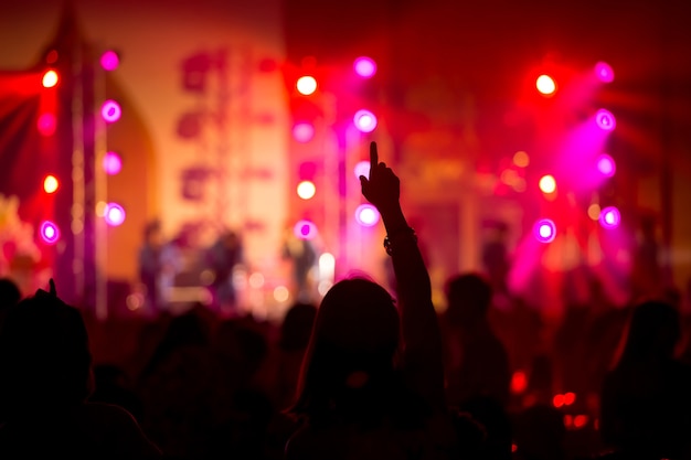 Muchacha divertida mano en concierto