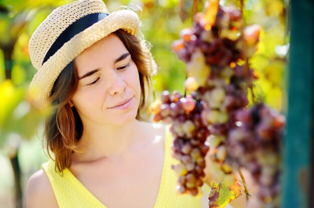 Muchacha hermosa joven que escoge la uva suave en día soleado en Italia. Granjero de sexo femenino feliz que trabaja en la huerta de fruta