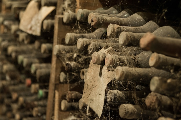 Muchas botellas de vino viejas en la web en la bodega en los estantes