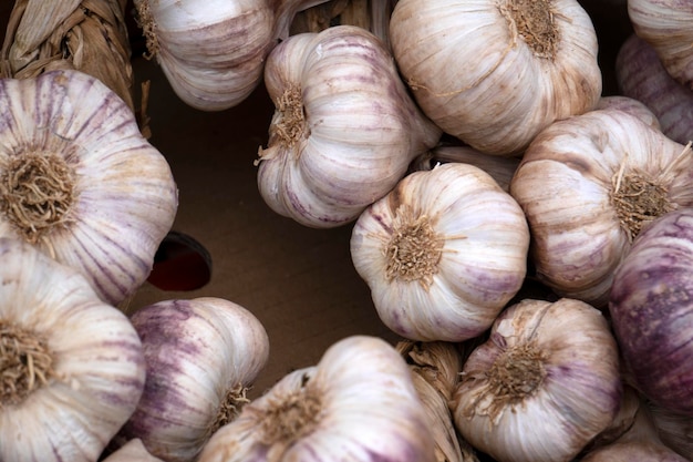 Muchas cabezas de ajo en el mercado