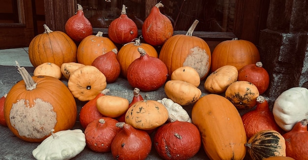 Muchas calabazas naranjas para Halloween