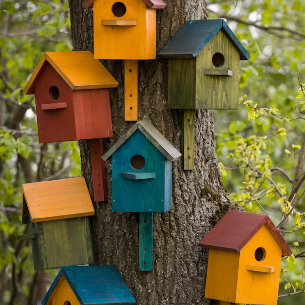 Muchas casas de pájaros coloridas en un árbol grande en un parque