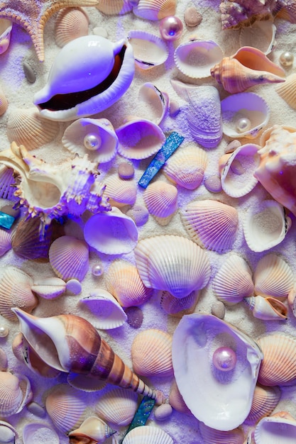 Muchas conchas de colores perlas y estrellas de mar