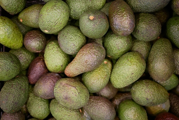 Muchas exhibiciones de aguacate a la venta en la tienda local.