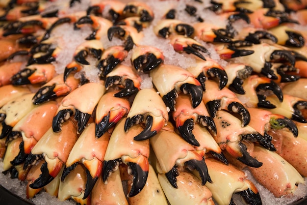 Muchas garras de cangrejo de río en las filas sobre el hielo en el centro comercial Departamento de pescado de una tienda de comestibles