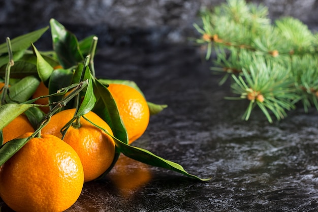 Muchas mandarinas naranjas navideñas con hojas verdes y abeto sobre fondo oscuro con espacio de copia