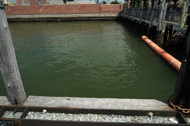 Muchas monedas de diez centavos en dólares en el muelle del ferry de Liberty Island en Nueva York