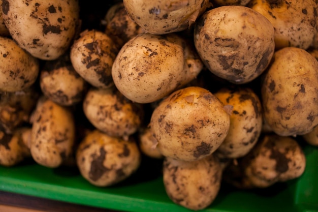 muchas patatas patatas frescas con restos de tierra en la piel patatas crudas sucias