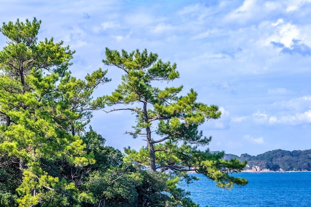 Muchas pequeñas islas sobre el océano azul en un día soleado, el famoso islote de balneario de perlas de Kujukushima (99 islas) en el Parque Nacional Sasebo Saikai, Nagasaki, Kyushu, Japón.