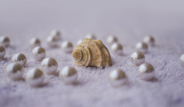 Muchas perlas blancas con grandes conchas en la superficie de la tela de piel blanca. Líder con el fondo del concepto de multitud.