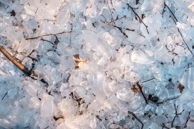 Muchas piezas de hielo cayendo del árbol.