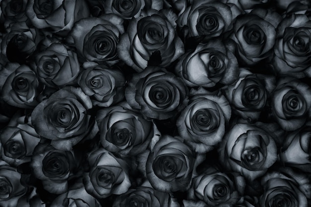 Muchas rosas negras son una vista superior Fondo de estilo vintage