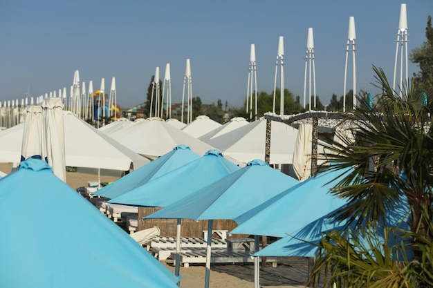 Muchas sombrillas y tumbonas de playa en el resort