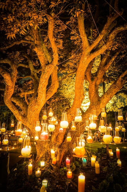 Muchas velas de colores