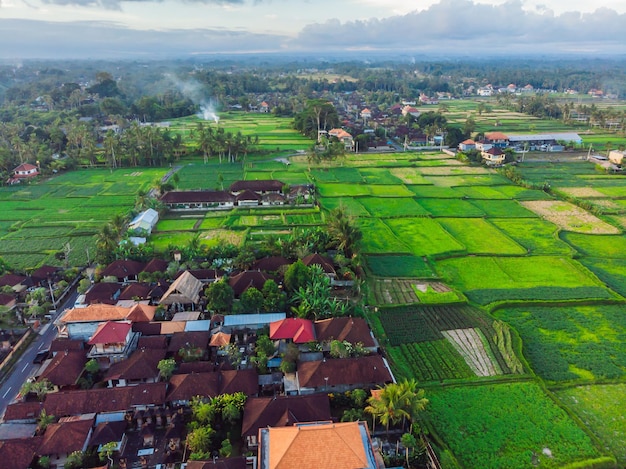 Muchas villas con techos de tejas de color marrón anaranjado entre árboles tropicales en el fondo del cielo en Ubud en Bali Sun brilla sobre ellos Foto horizontal aérea