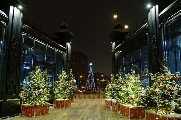 Muchos árboles de navidad en el acogedor parque de invierno de la ciudad, concepto de vacaciones de año nuevo