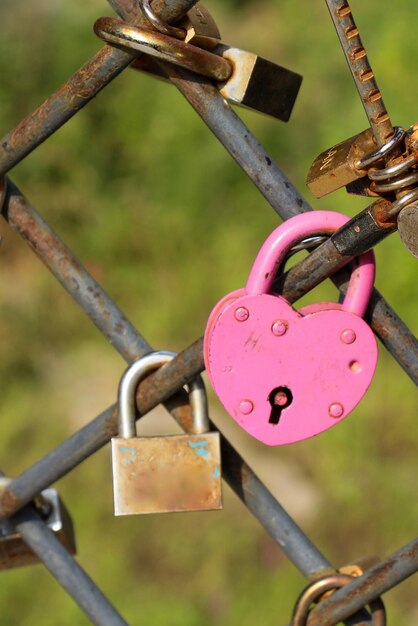 Foto muchos candados de amor coloridos en la cerca