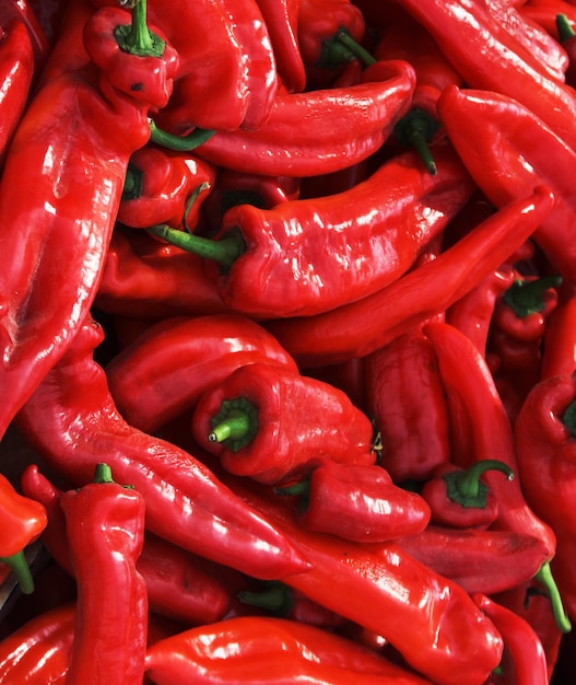 Muchos chiles rojos picantes