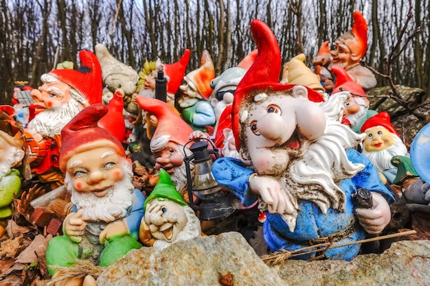 Muchos gnomos de jardín coloridos y diferentes en un lugar del bosque