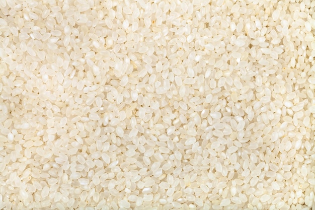 Muchos granos cortos blancos de arroz Italica