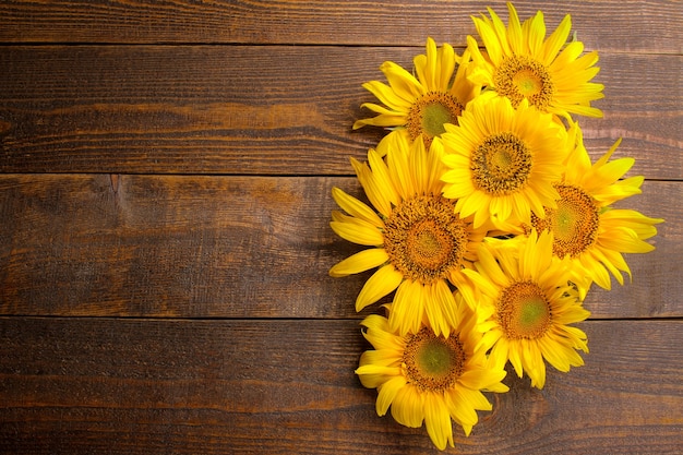 Muchos hermosos girasoles amarillos en una madera marrón