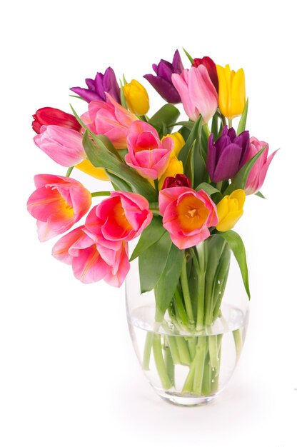 Muchos hermosos tulipanes de colores con hojas en un jarrón de vidrio aislado sobre fondo transparente. Foto con flores frescas de primavera para cualquier diseño festivo.