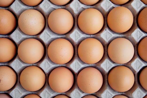 Muchos huevos crudos frescos de pollo alineados en una fila.