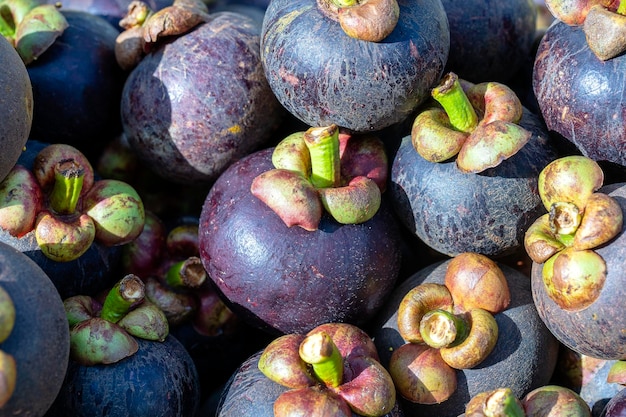 Muchos mangostán para vender en los mercados de Tailandia