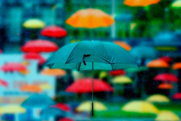 Foto muchos paraguas bajo la lluvia.