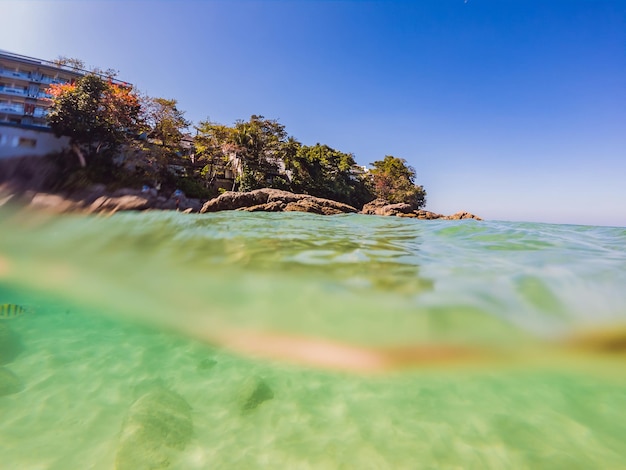 Foto muchos peces anémonas y criaturas marinas plantas y corales bajo el agua cerca del lecho marino con arena y piedras en colores azul y púrpura paisajes marinos vistas vida marina