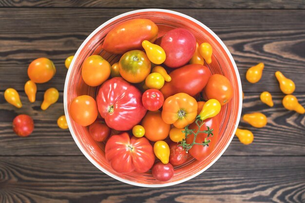 Muchos tomates amarillos anaranjados rojos diferentes en la superficie de madera oscura Hermosa vista superior del fondo del arte de la comida