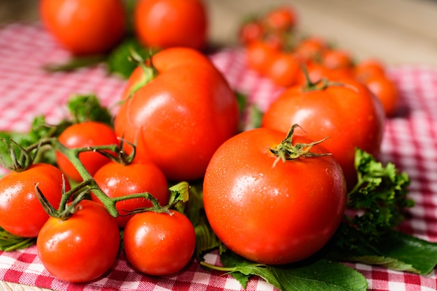 Muchos tomates se colocan sobre un mantel a cuadros.