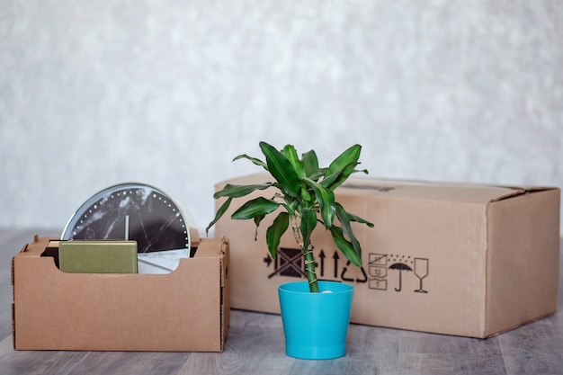 Foto mudarse a un nuevo apartamento con cosas en cajas de cartón.