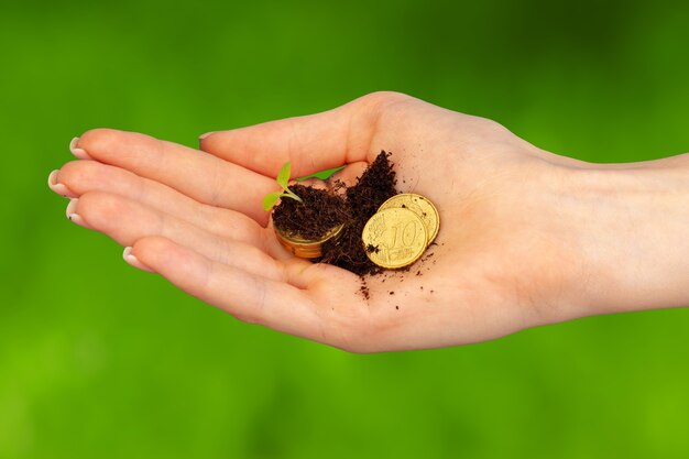 Mudas cultivadas em uma pilha de moedas na palma feminina