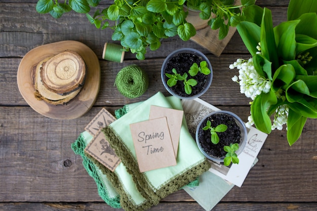 Mudas de mesa de madeira de primavera