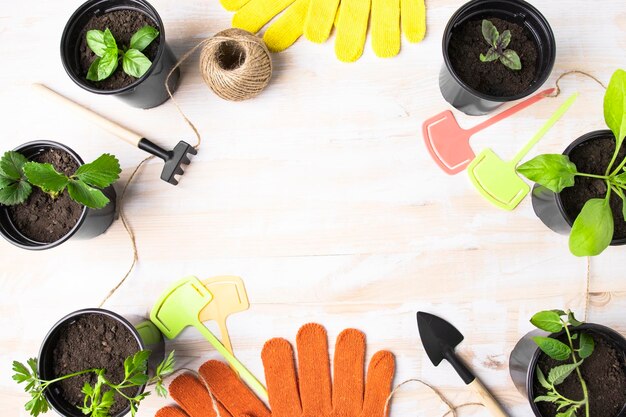 Mudas jovens de vegetais e ervas em vasos sobre uma mesa com ferramentas de jardinagem Jardinagem de primavera