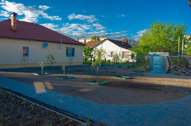 Mudas prontas para plantar no parque da cidade conceito de paisagismo do território