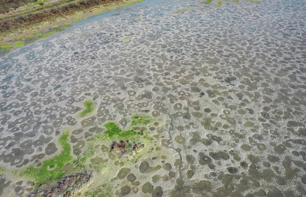 Mudflats da lagoa de Veneza na maré baixa ilha de Torcello Itália