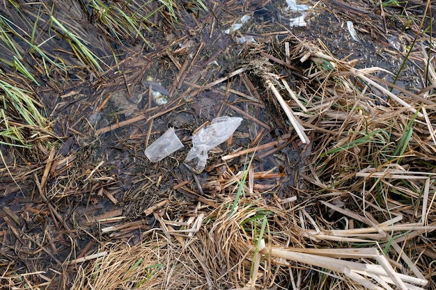 Müll am Ufer des Sees. Plastiktüten und -flaschen belasten die Umwelt. Das Konzept des Schutzes und der Erhaltung der umliegenden Natur. Foto in hoher Qualität