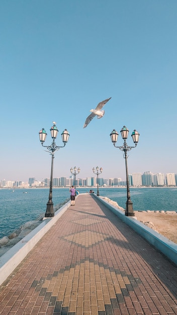 Un muelle con una gaviota volando sobre él y una ciudad al fondo.