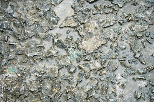 Muelle de hormigón textura lavada por agua de mar extreme closeup