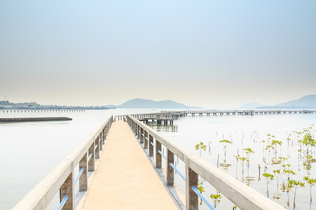 Foto muelle de hormigón