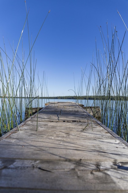 El muelle en el lago