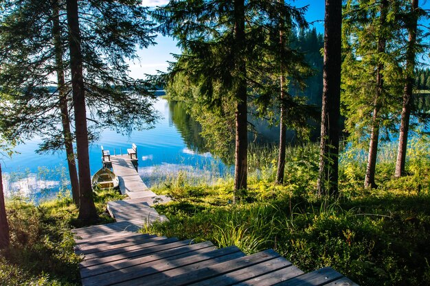 Muelle de madera con banco para descansar en un lago azul en verano Finlandia