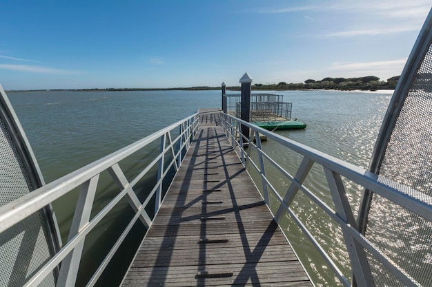 Muelle de madera en medio de un río