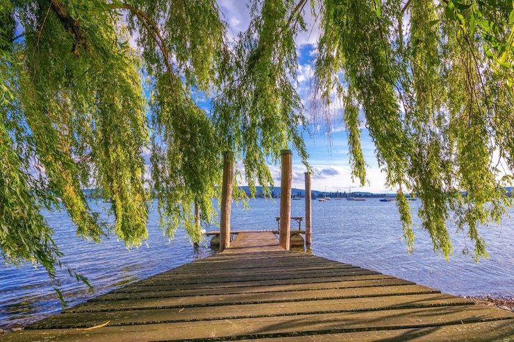 Foto muelle de madera en la orilla del lago de constance en verano con sol y cielo azul