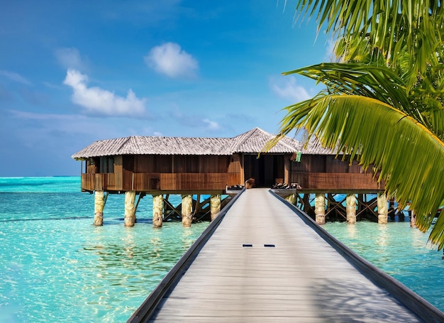 Un muelle de madera con una palmera en el medio y un océano azul.