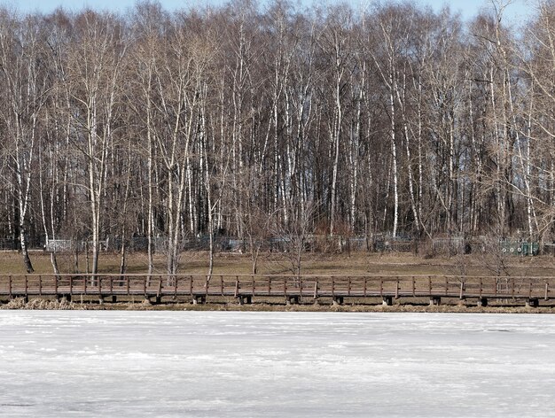 Muelle de madera sobre fondo de río congelado