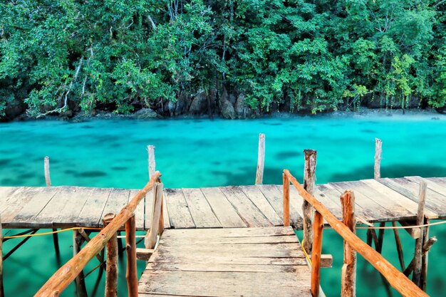 Foto muelle de madera sobre el lago