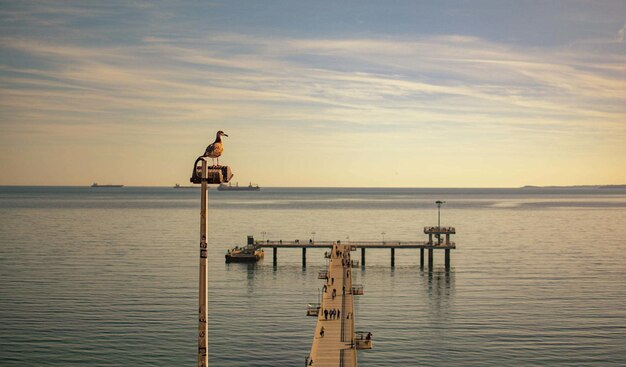 Foto muelle en el mar contra el cielo durante la puesta de sol